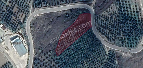 Ata Emlak'tan İznik Gölü Manzaralı Tarla