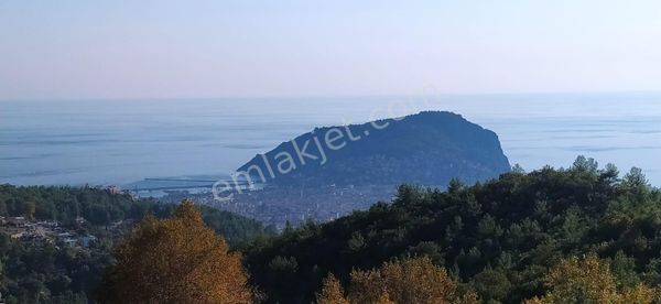 Alanya Tepe De Satılık Ful Deniz Manzaralı Villa Arsası