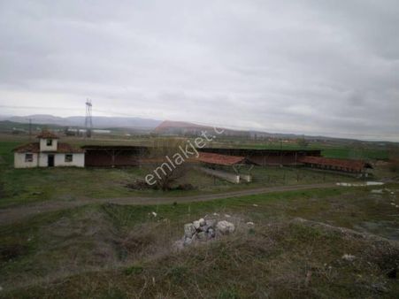 Güvenay - Çorum Alaca Kavşağı İlerisi Tarhan Civarında 8 Dönüm Çiftlik