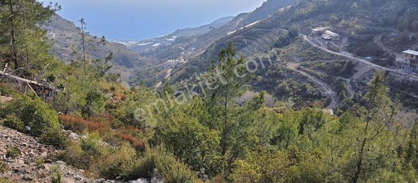 Yat Limanı Üstü Ful Deniz Manzaralı Satılık 2 Parsel