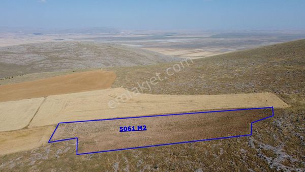 Çınarlı'da 5 Dönüm Uygun Fiyatlı Köye Yakın Düz Tarla