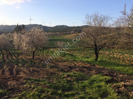 Ela Emlak'tan Datça Kızlan Köyünde Yatırım Fırsatı