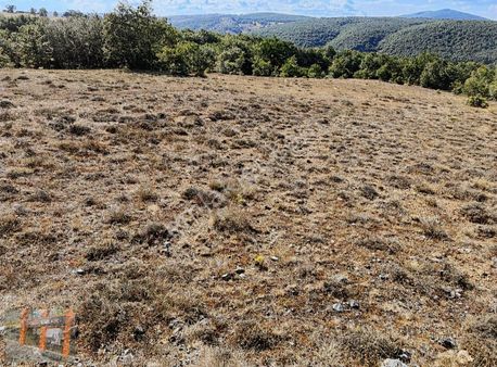 Başkan Emlaktan Satılık Karadere Köyü 5.450 M2 Tarla . Ana Yolda