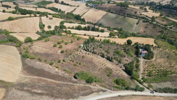Kocaeli Karamürsel Yalakdere Mahallesi 18509 M2 Satılık Tarla