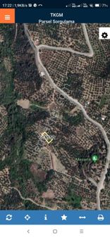 İznik Göllüce Mah Satılık Zeytinlik