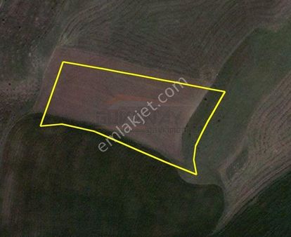 Güvenay-bayat Gediği Hayat Şırınga Arkası 6 Dönüm Harika Satılık Tarla