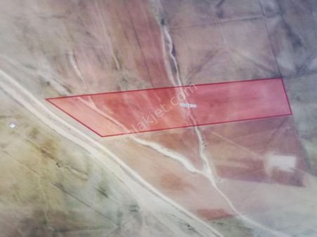 Selçuklu/ Çaltı Mah. 19.000 M2 Müstakıl Yeri Güzel Tarla-_