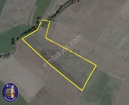 Güvenay-ikbal Evlere Yakın İmara Sınır 23 Dönüm Harika Tarla