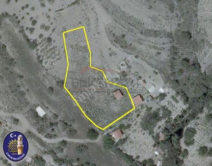 Güvenay - Çorum Barajı Gören Büğet Civarında 2,254 M2 Bağ