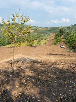 Bursa Osmangazi Çeltikte Satık 380 M2 İmarlı Arsa