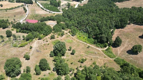 Kocaeli Karamürsel Çamdibi Mahallesi 15006 M2 Satılık Tarla