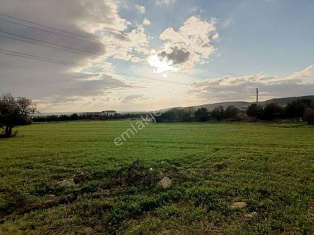 Alaçatı Gayrimenkul'den Ovacık'ta Yatırımlık Tarla