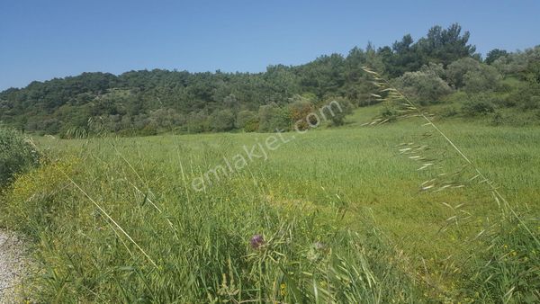 Rose Emlak 'tan Satılık Kupon Arazi