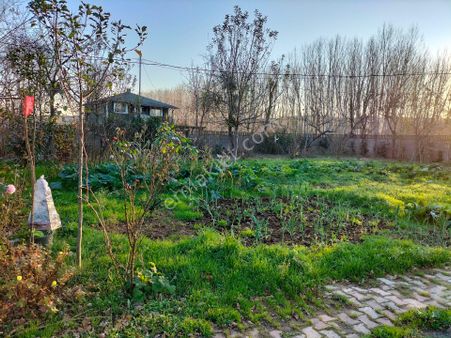 Satılık Veya Kiralık Beykoz Cumhuriyet Müstakil Ev