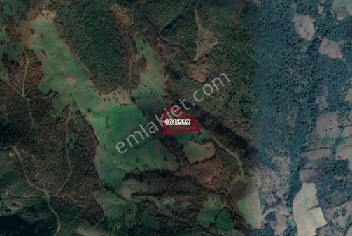 Balıkesir, Kepsut, Dereli Köyü, Satılık 8.379 M2 Tarla.