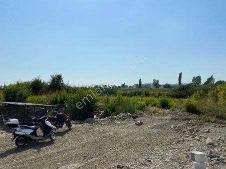 Paşa Emlaktan Dalaman Çınar Arkasında 500 M2 İmarlı Arsa