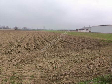 Bursa Mustafakemalpaşa Tepecik Mh.8.900 M2 Hayvancılık Proje Kapsamında