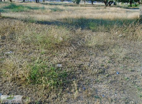 Çiğli Harmandalında Satılı 140m2 Arsa