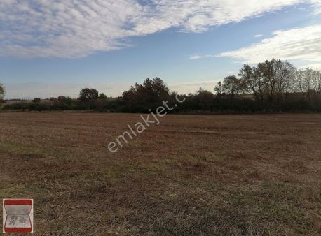 Kırklareli Kavakdere Köyü 14900m2 Yola -mera Cephe Satılık Tarla