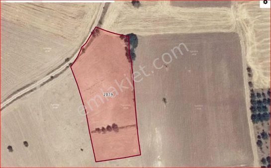 Konya Seydişehir Çavuş Mah. Satılık Sulu Tarla 4.225 M2 Yolu Var Anayola 500 Metre