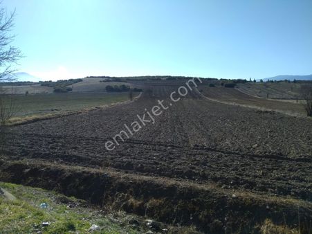 Burdur/çavdır/ishak Köyü'nde Yola Sıfır, Elektiriği.suyu Mevcut,sera Yapmaya Uygun Tarla