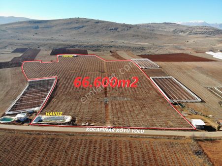 Elmalı Kocapınar Mah'de Elektriği Ve 2 Adet 3'lük Sondajı Bulunan 66.600m2 Satılık Şeftali Bahçesi