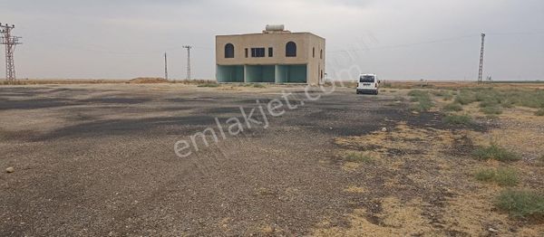 Mardin Kızıltepe Nusaybin Yolu İpekyol Üzeri 7700 M2 Arsa