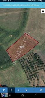 Sakarya Kaynarca Sabırlı Köyünde Satılık 1800 M2 Tarla