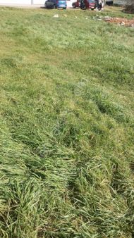 Manisa Salihli Kösealide Satılık 30,500m Düşeş Kazandıracak Sulak Arazi No:432