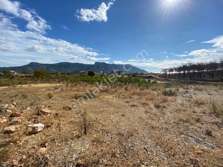 Tarla 14.505 Mersin Antalya Yol Cepheli
