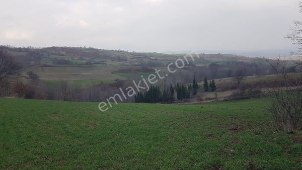 Kocaeli Karamürsel Kızderbent Köyü 1895 M2 Satılık Tarla