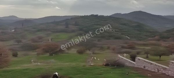Çanakkale Ayvacık Kulfal Köyünde Satılık Tarla