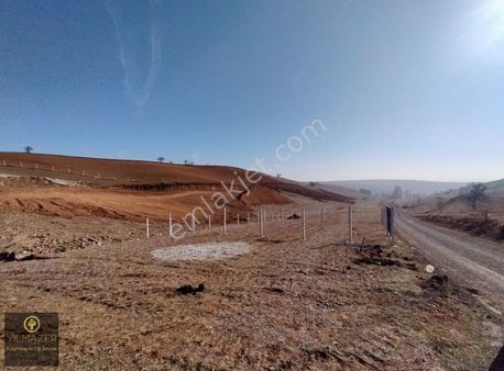 Yılmazer'den Aydıncık Mevkii 250 M2 Telle Çevrili Yolu Açılmış!!