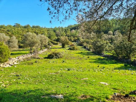 Bodrum'da Fırsat Müstakil Tarla! 2.210 M2 Tiny House Arazisi