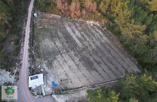 Menderes Deli Ömer Köyünde 3390 M2 Satılık Arazi