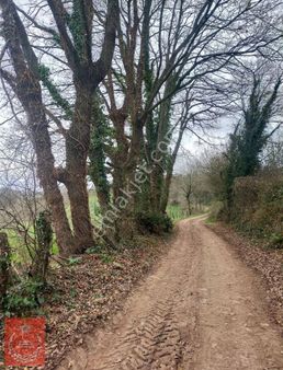 Kandıra Kaymaz Araman Köyünde İmarlı Ve Yollu Arazi