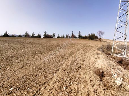 Denizli Çal Yol Ayrımında Anayola Yakın 8400 M2 Yatırımlık Tarla