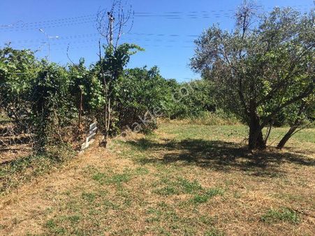 Çanakkale Mıhlı Mahallesinde Acil Satılık Arsa