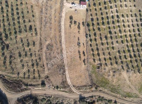 Mirzaobada İçinde Suyu Bulunan Muhteşem Manzarılı Bağ Evi