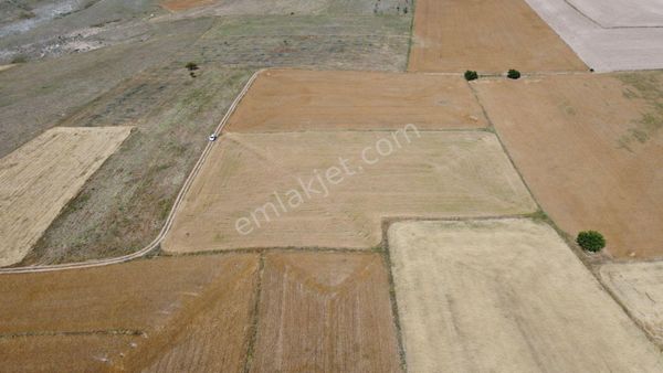 Sultandağında 9.300 M2 Köye Yakın Satılık Tarla