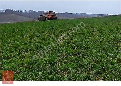 Sakarya Kaynarca Gaziler Köyünde Yeni Geçecek Otobana Cephe Araz