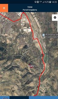 Burhaniye Sarkoy Satilik Zeytinlik