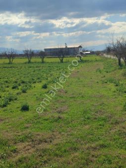 🏠🏫 Demir Emlaktan Dallıca Mh (8584) M2 Satılık Çiftlik