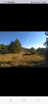 Amasya Suluova Kıranbaşalan Köyünde Satılık 29 Dönüm Arazi Kıranbaşalan Köyü