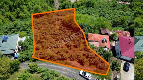 Trabzon Akcabatta Satılık Fırsat 2600 M2 Arazi