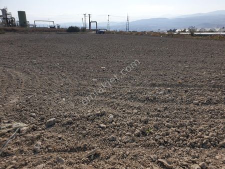 Afyan/dinar/kızıllı Köyü.çivril.uşak Yolu Yakını 29.250 M2 Çok Uygun Tarla.zahide