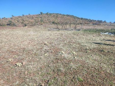 Utku İnş Gayrimenkulden Manisa Akhisar Hampaşa Mah Satılık Tarla