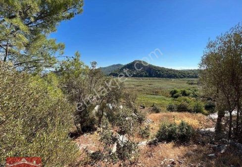 Paşa Emlak'tan Sarıgerme'de Deniz Manzaralı 582 M2 İmarlı Arsa