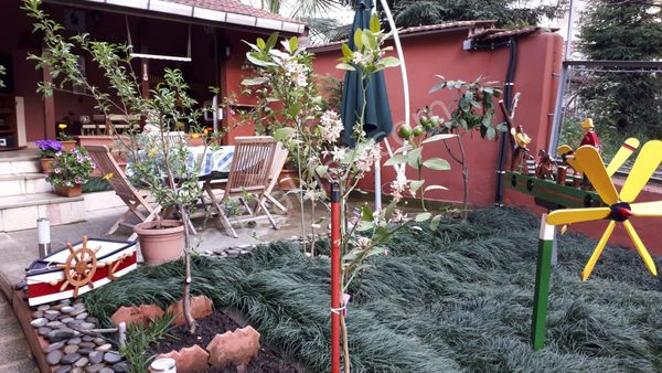 Ereğli Güncel Emlak Akarca Mah.müstakil Bina Satıyor