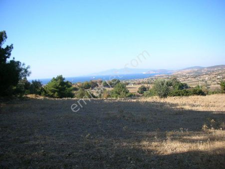 Rose Emlak'tan Satılık Kupon Çiftlik Arazisi